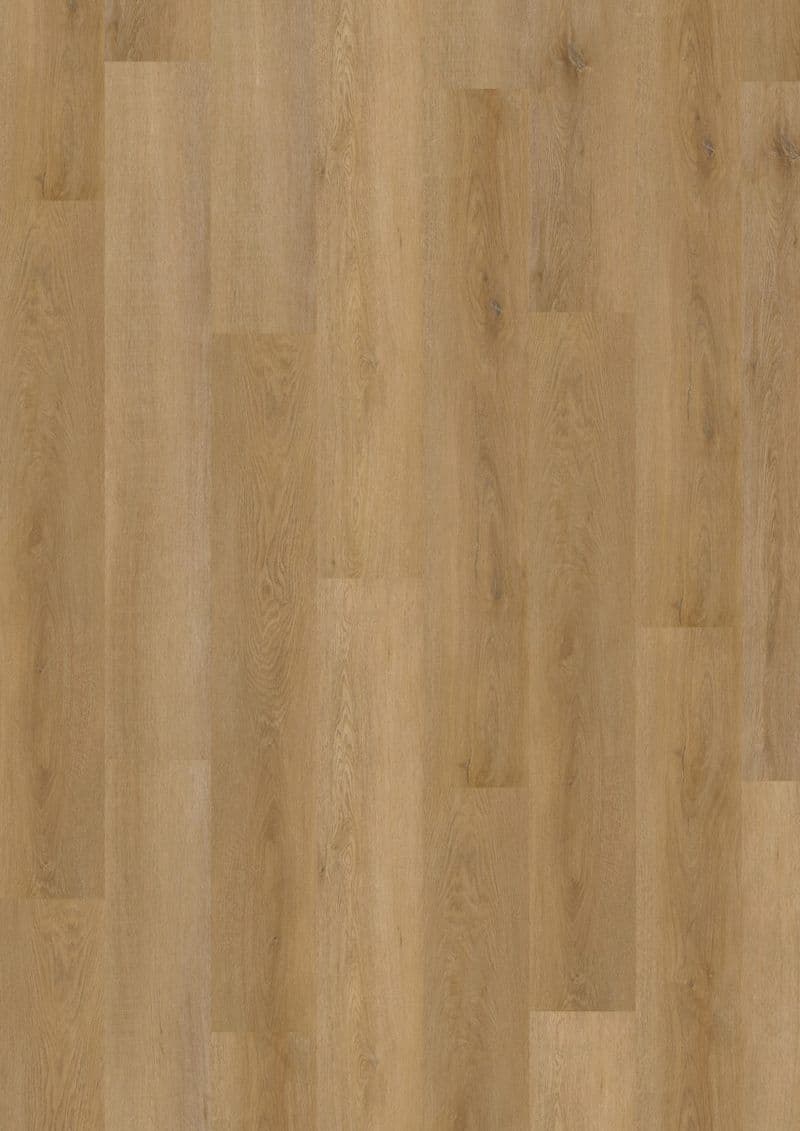 Fine Oak Amber — ECO 30 (Oneflor)