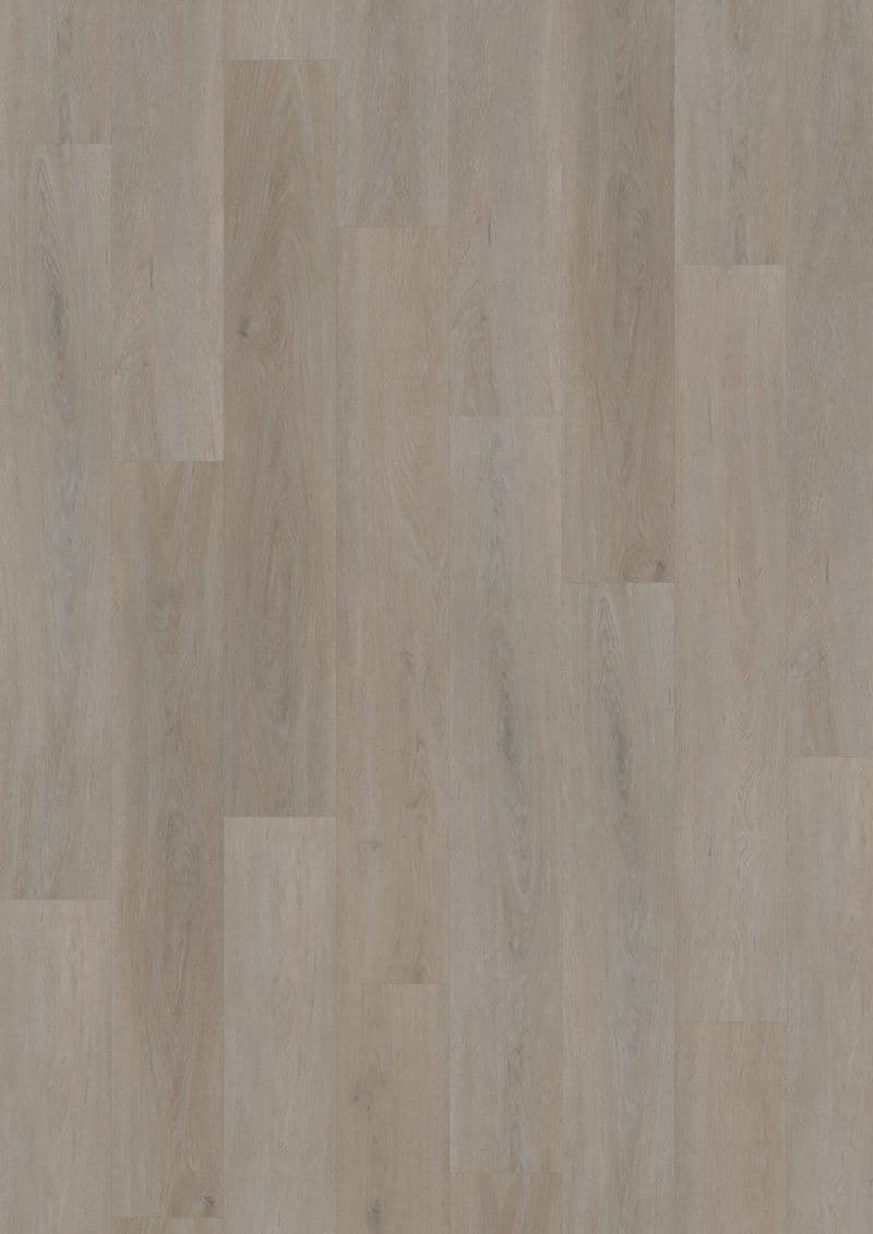 English Oak Greige — ECO 55 (Oneflor)