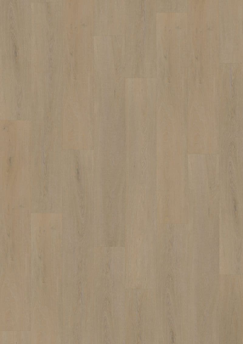 English Oak Warm Natural — ECO 55 (Oneflor)
