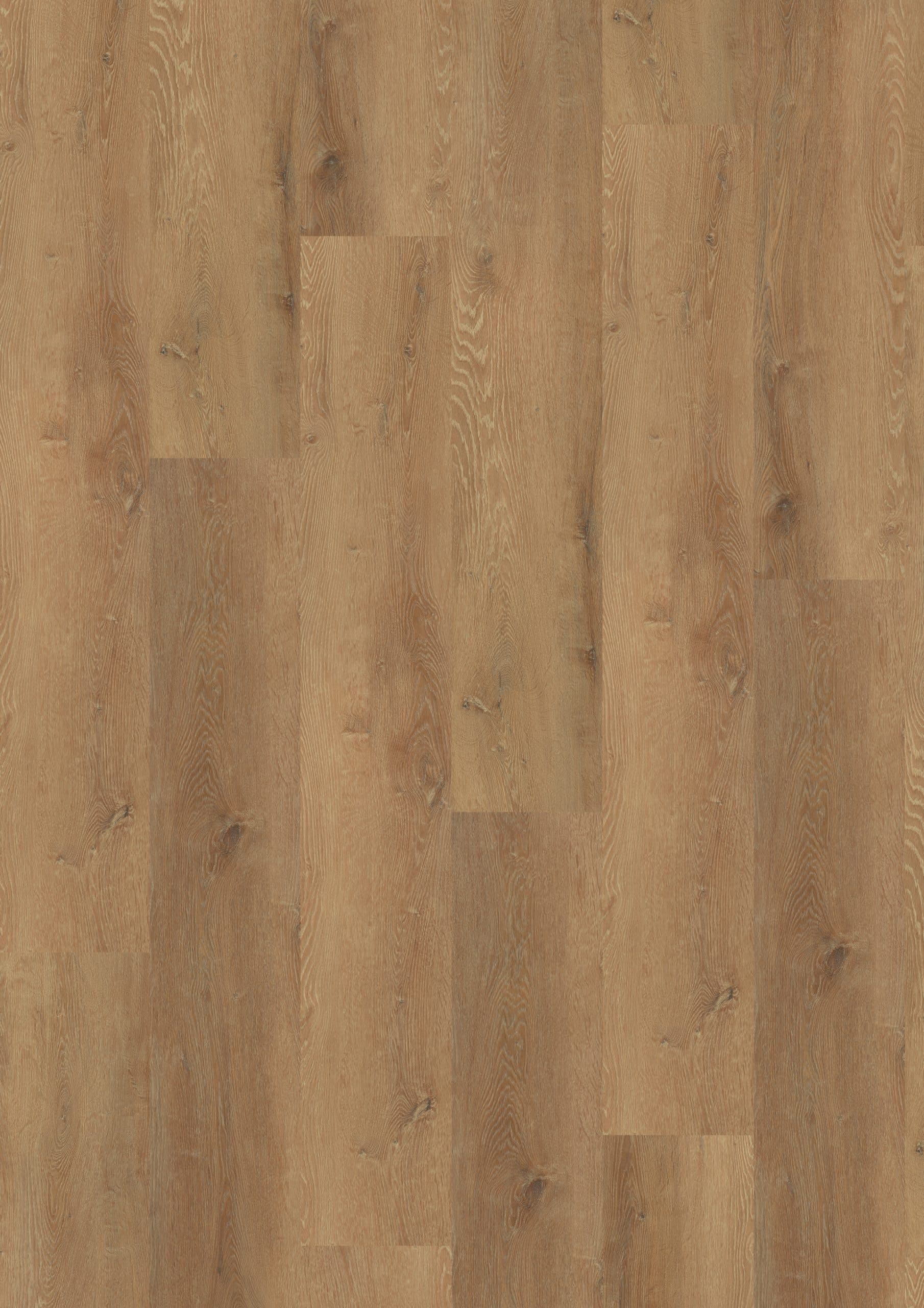 Prestige Oak Honey — RIGID 30 XL (Oneflor)