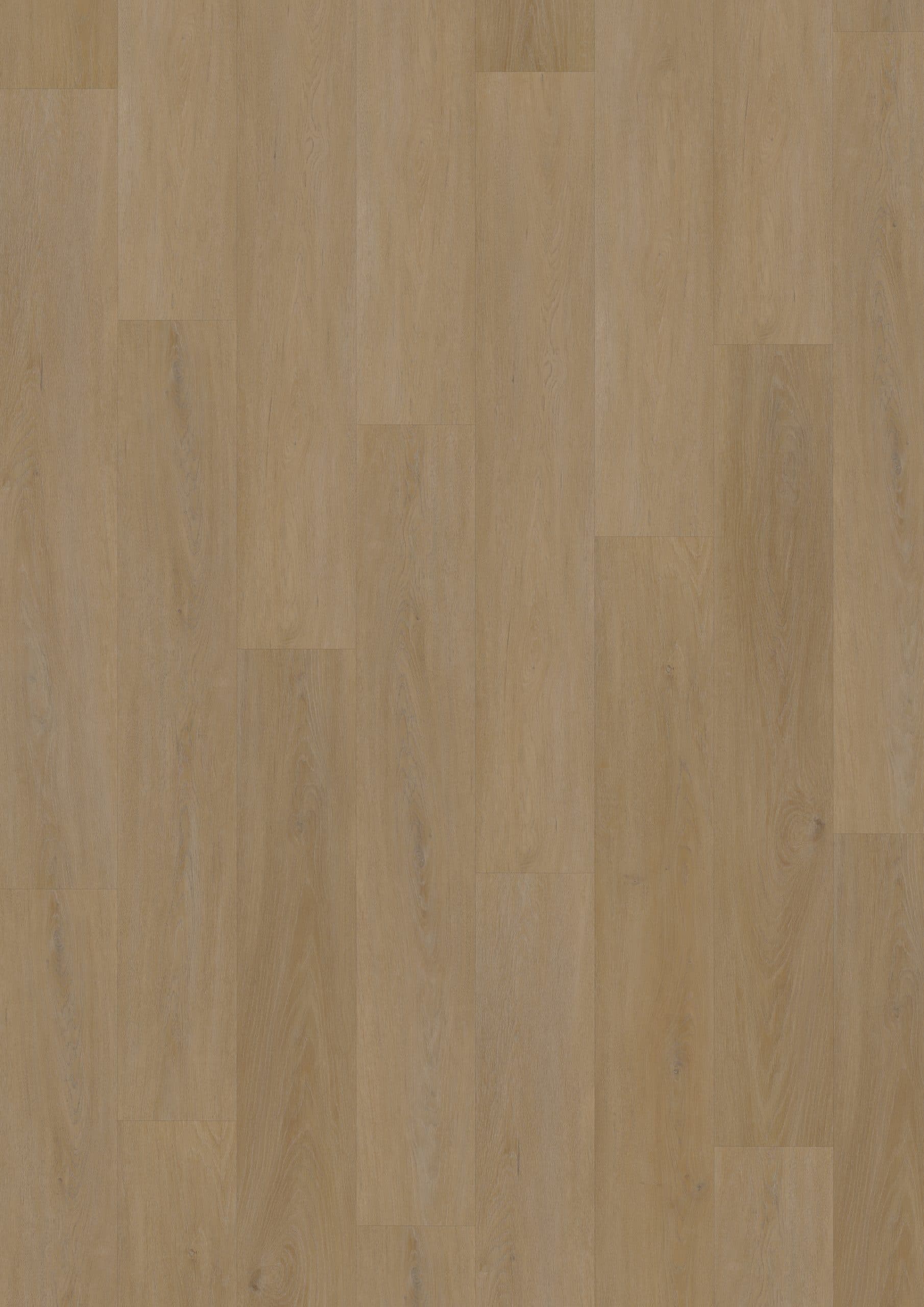 English Oak Honey — RIGID 55 XL (Oneflor)