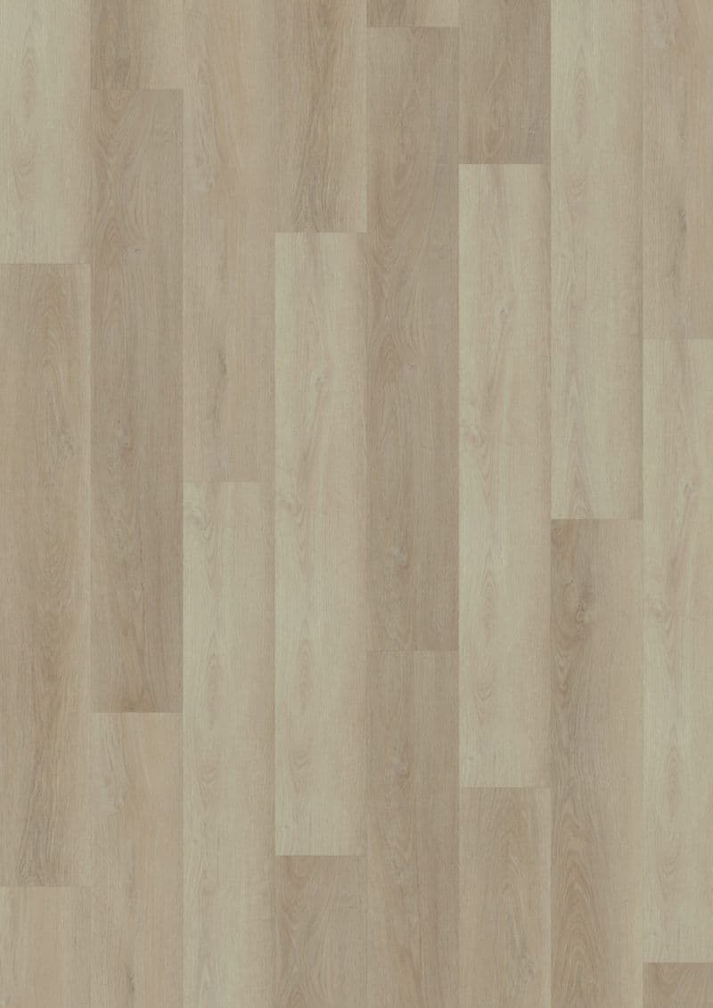 Fresh Oak Light Greige — ECO ACOUSTIC 55 (Oneflor)