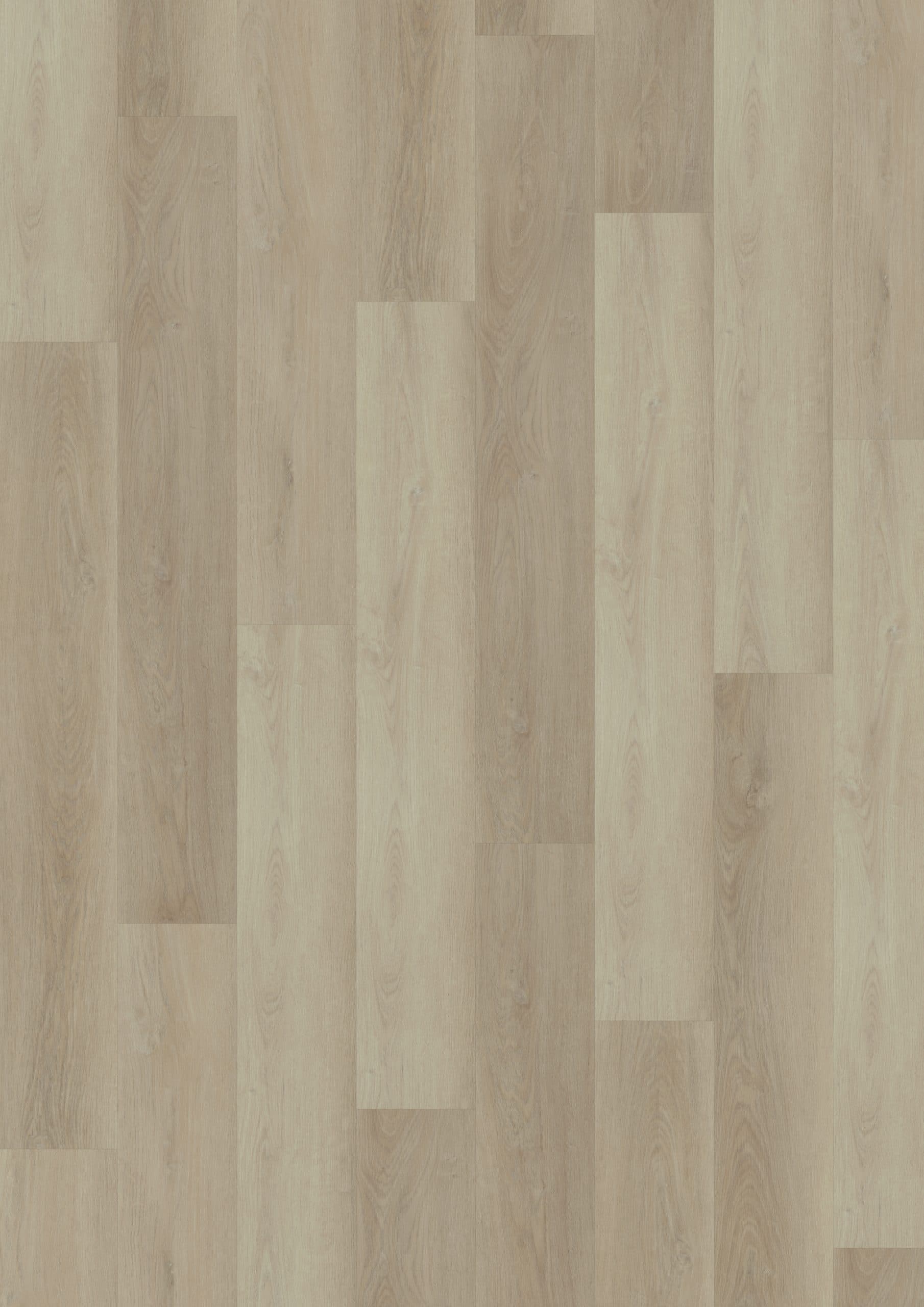 Fresh Oak Light Greige — ECO ACOUSTIC 55 (Oneflor)