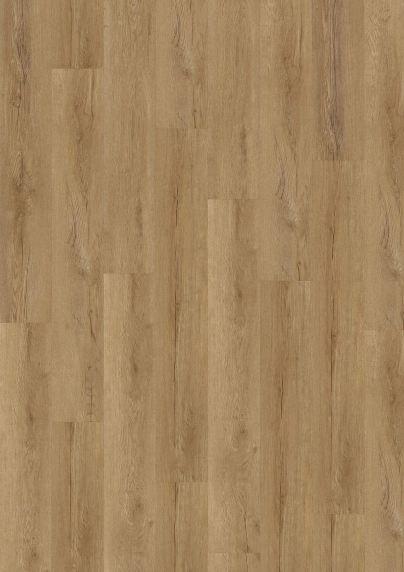 Bavarian Oak Honey — ECOLAY 55 (Oneflor)