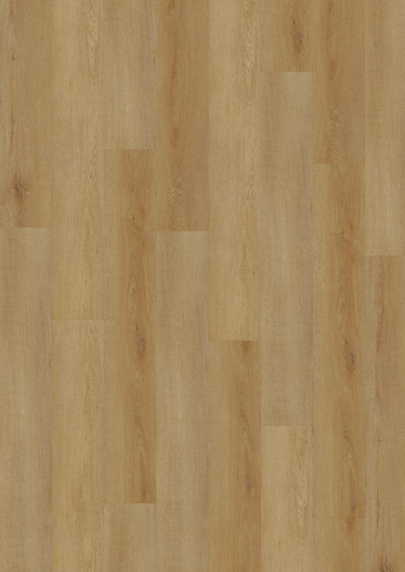 Delicate Oak Amber — ECOLAY 55 (Oneflor)