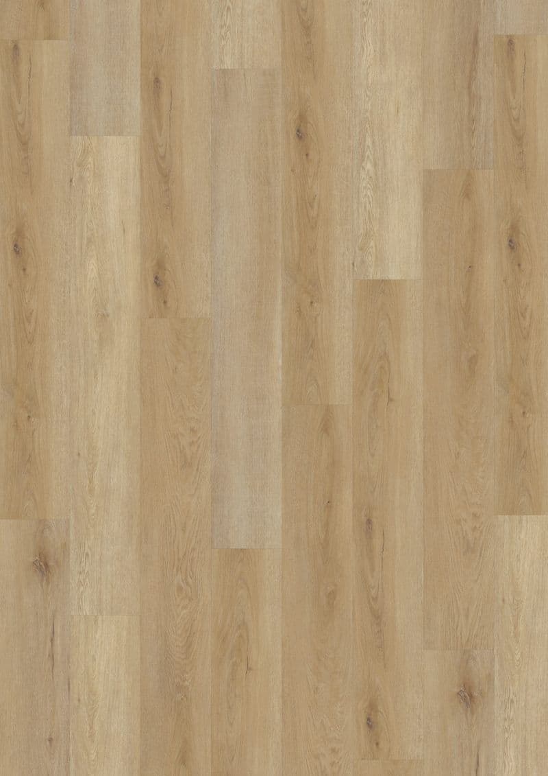 Delicate Oak Natural — ECOLAY 55 (Oneflor)