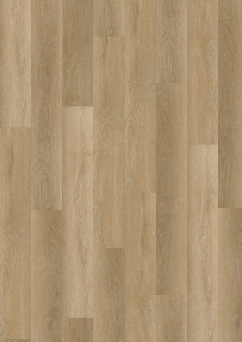 Fresh Oak Natural — ECOLAY 55 (Oneflor)