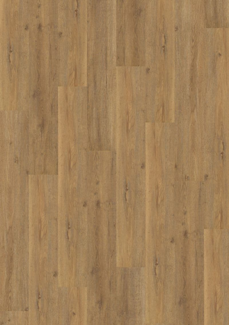 Royal Oak Natural — SOLIDE CLICK 30 (Oneflor)