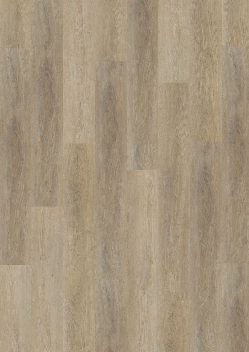 French Oak Natural — SOLIDE CLICK 30 (Oneflor)