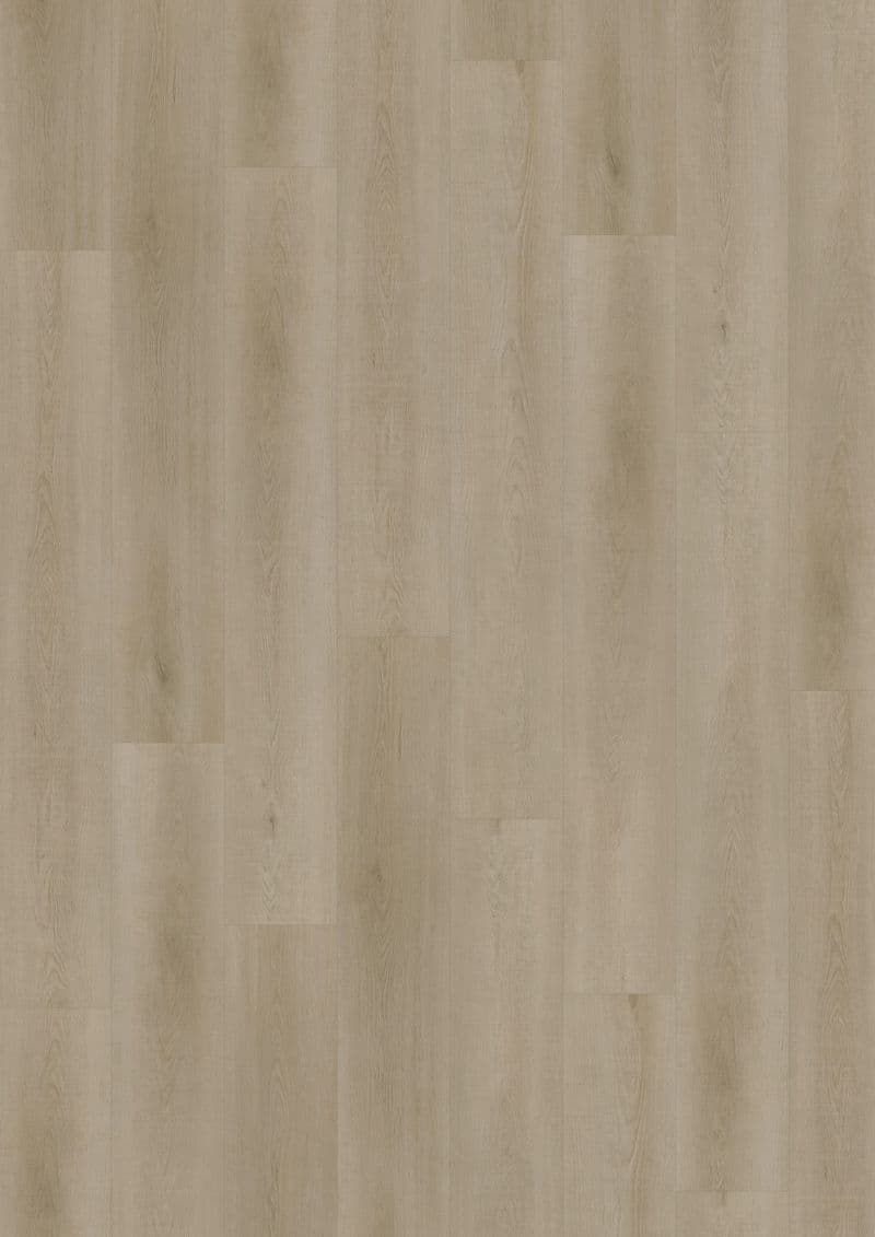Raw Oak Light Natural — SOLIDE CLICK 55 (Oneflor)