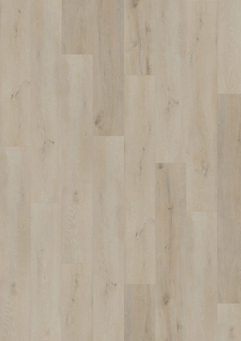 Prestige Oak White — SOLIDE CLICK 55 (Oneflor)