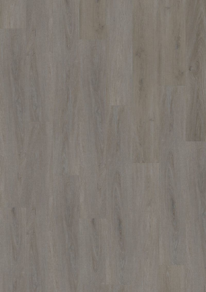 English Oak Taupe — SOLIDE CLICK 55 (Oneflor)