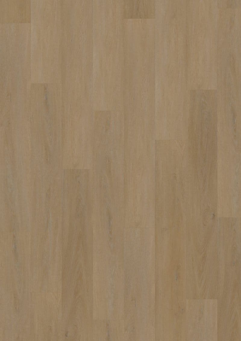 English Oak Honey — SOLIDE CLICK 55 (Oneflor)