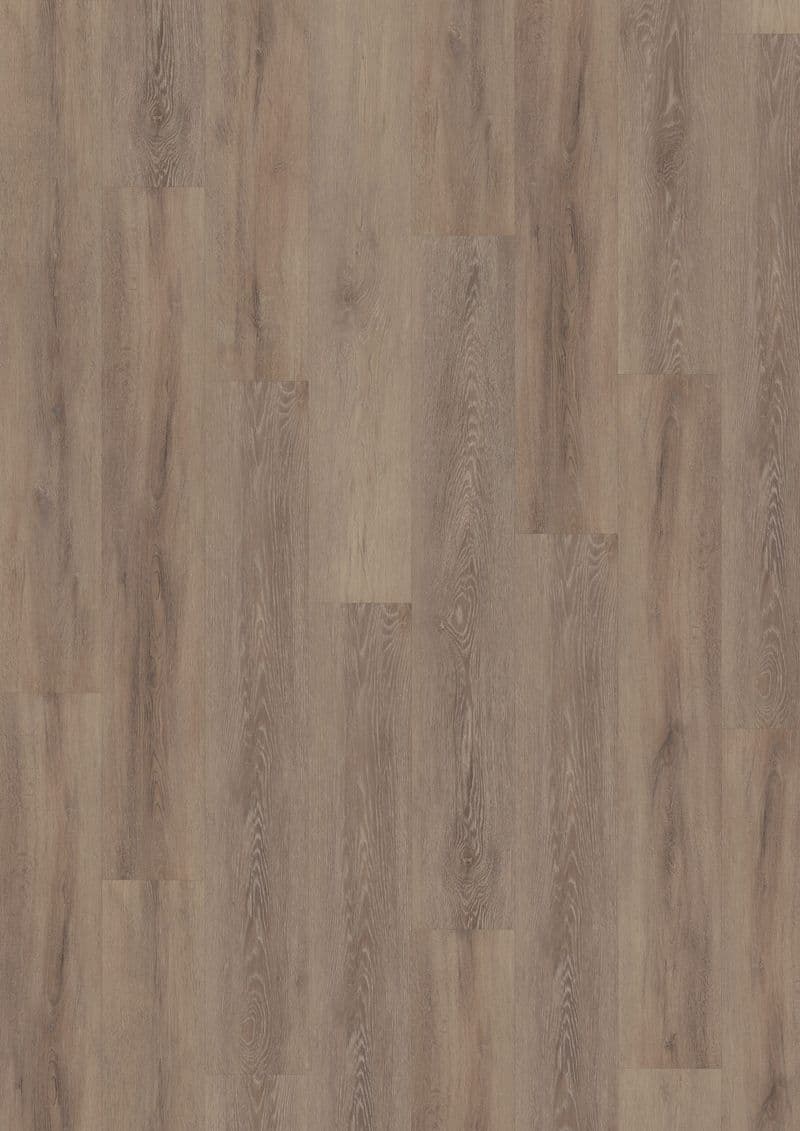 Cerused Oak Dark Natural — SOLIDE CLICK 55 (Oneflor)