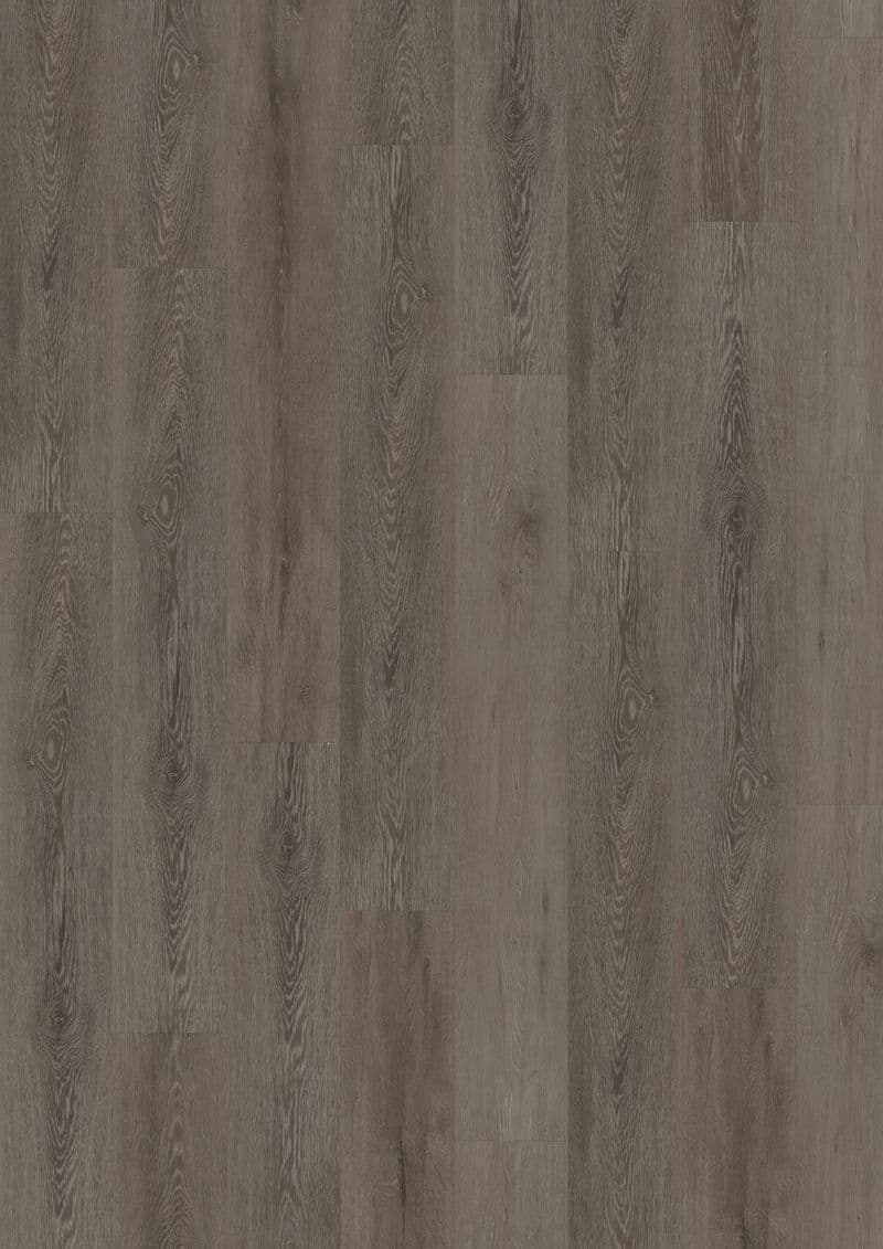 Cerused Oak Dark Brown — SOLIDE CLICK 55 (Oneflor)