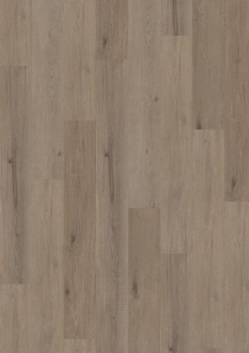 Aspen Oak Dark Greige — ECO ACOUSTIC 55 (Oneflor)