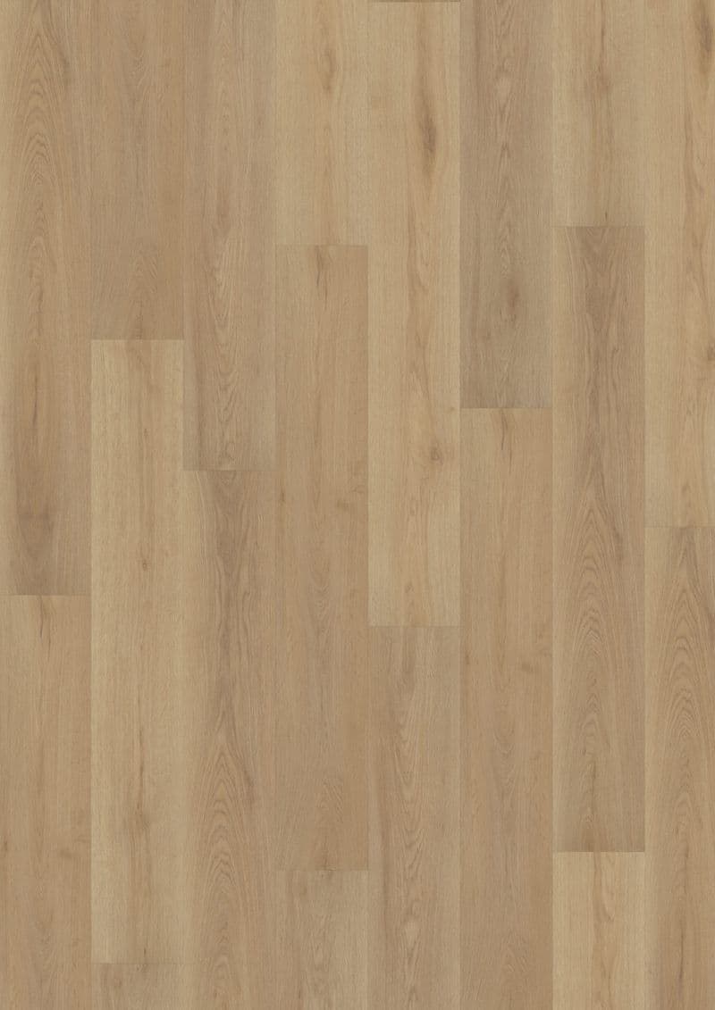 Nordic Oak Light Natural — ECO ACOUSTIC 55 (Oneflor)