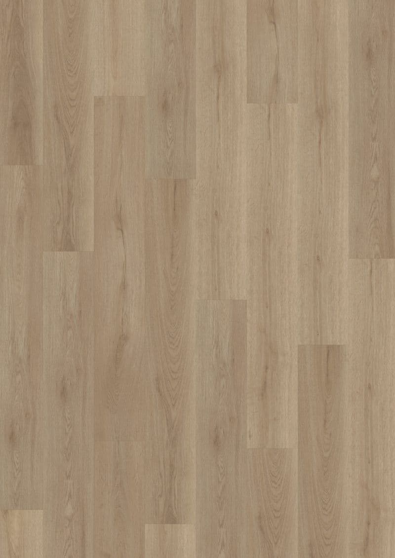 Nordic Oak Greige — ECO ACOUSTIC 55 (Oneflor)